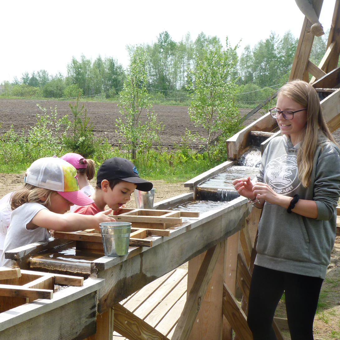 L'île aux pierres magiques - Photo 7